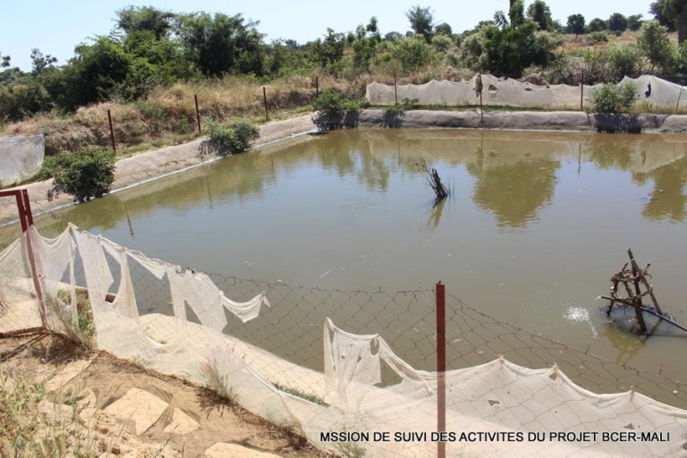 Ségou: Promotion des techniques de collectes des eaux de ruissèlement, un noble combat du projet BCER-Mali