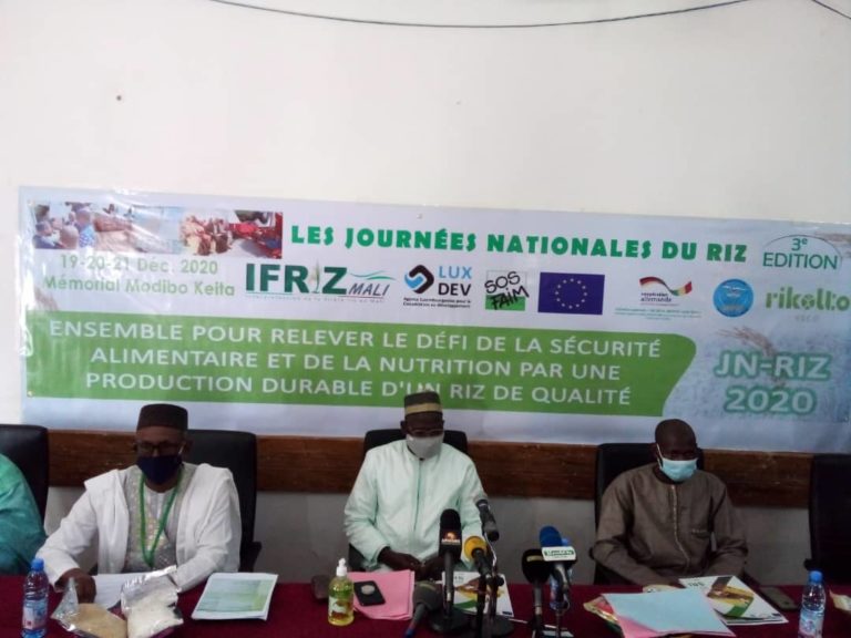 Politique alimentaire : IFRIZ-Mali célèbre les journées Nationales du riz à Bamako 