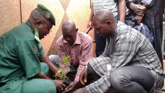 Déjeuner botanique : Yes  INC Mali poursuit son combat dans le cadre de la protection de l’environnement