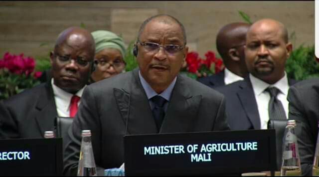 Journée mondiale des sols : le Ministre de l’Agriculture appelle à une amélioration de la protection des sols