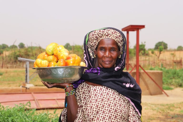 FAO : Présentation de la situation globale de la Phase II du Projet Initiative Eau et Sécurité Alimentaire (IESA) au Mali