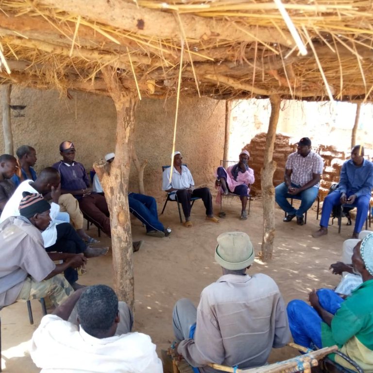 Renforcement de la production rizicole au Mali : La PNPR-Mali à la conquête des riziculteurs du Bélédougou