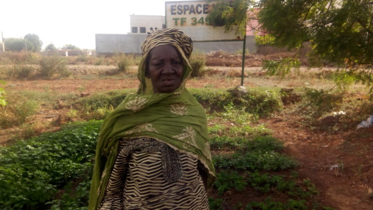 Bamako : Les femmes maraichères face aux dangers des prédateurs fonciers