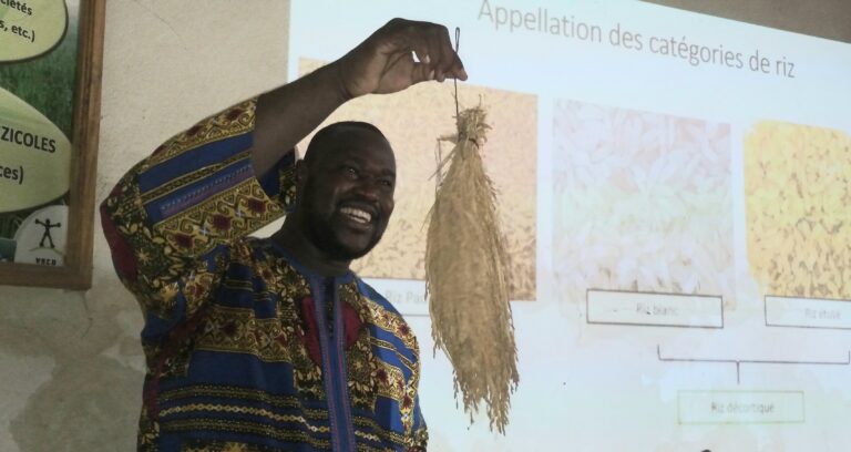 Filière riz au Mali: Des acteurs des médias imprégnés sur le riz, les enjeux et les principaux aux défis auxquels sont confrontés les acteurs de la filière