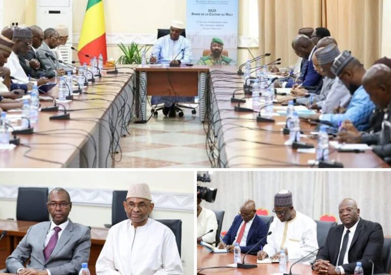 MALI: LE PREMIER MINISTRE REÇOIT LE CONSEIL NATIONAL DU PATRONAT MALIEN