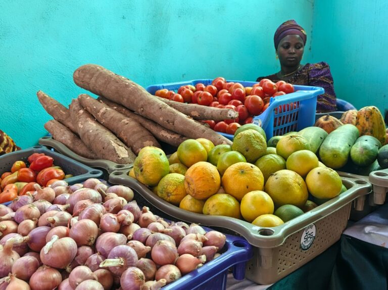 CNOP : l’Agroécologie au cœur des activités de la 5ème édition du week-end du week-end Bio