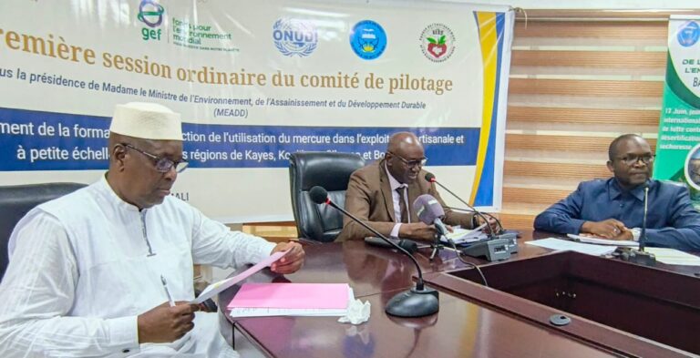 Lutte contre l’Utilisation du mercure : Le Comité de Pilotage du projet examine et valide un plan d&rsquo;actions et le budget annuel 2026 !