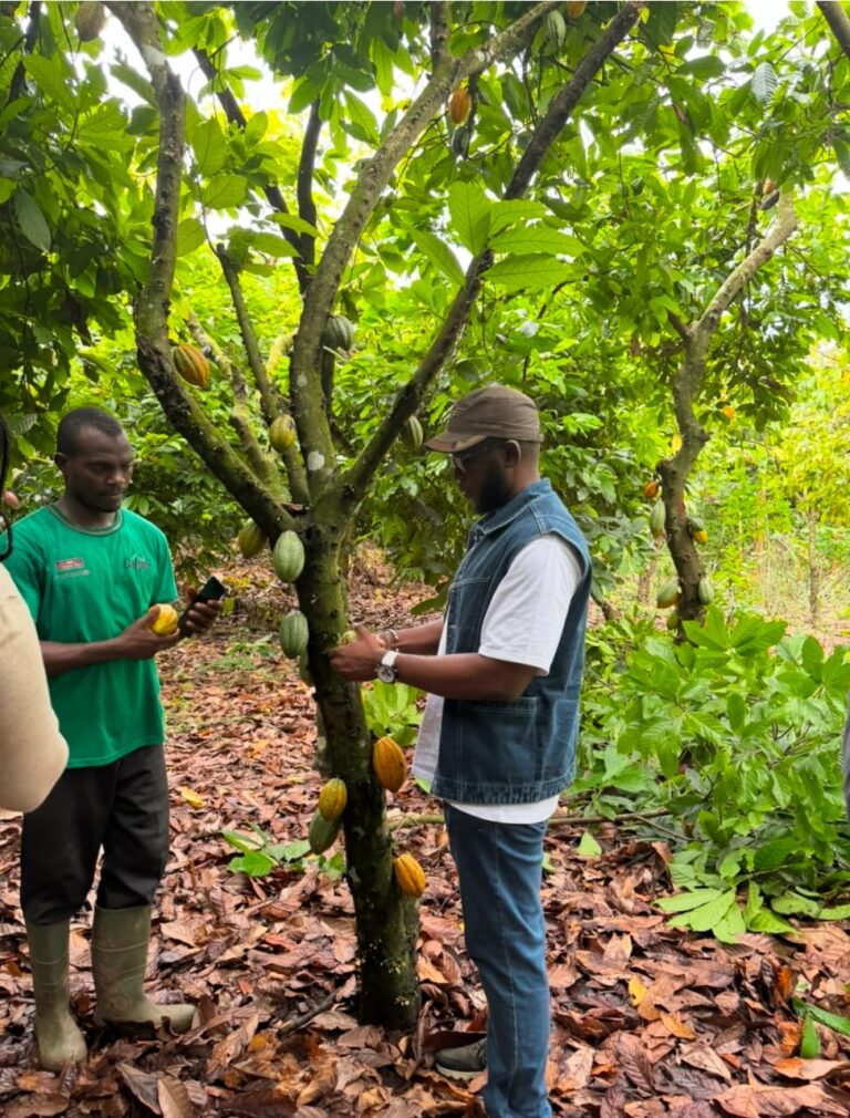 De la fourche à la fourchette : la vision systémique du Dr Brehima Cissoko pour repenser et transformer la nutrition en Afrique !