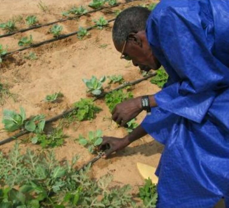 Office du Niger: Des ORT et agents d&rsquo;encadrement formés en gestion de